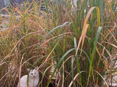 -长辛店二七公园