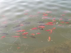 -迎泽公园