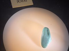 -陕西自然博物馆