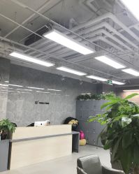 -INS羽毛接发·巴黎画染