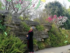-洛龙公园