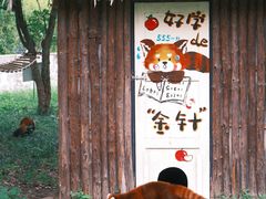 -合肥野生动物园