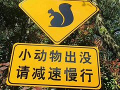 -福建鲤鱼洲酒店