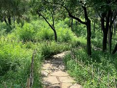 -承德避暑山庄景区