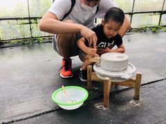 -前小桔亲子创意农场·草莓采摘·露营烧烤