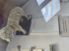 -北京动物园-畅观楼