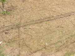 -前小桔亲子创意农场·草莓采摘·露营烧烤