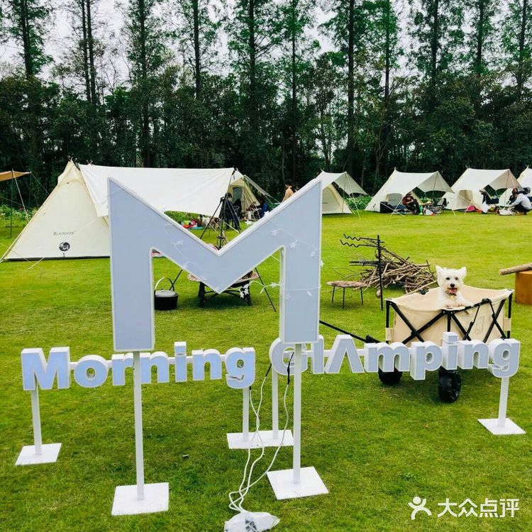 这个农场创意满分👍