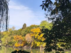 -北京大学