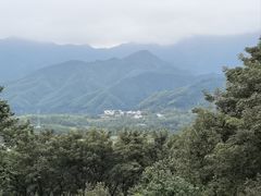 -塔川景区