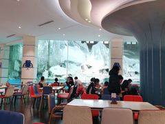 大堂-帝企鹅自助餐厅•儿童岛•真企鹅(长隆企鹅酒店)