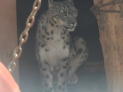 -青藏高原野生动物园