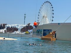 -秦皇岛乐岛海洋王国