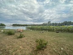 -长春市南湖公园