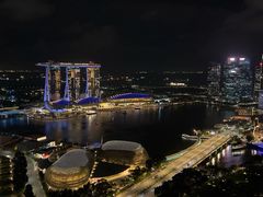 -新加坡瑞士史丹福酒店