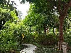 -广州神农草堂中医药博物馆