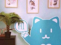 -纳吉亚猫专科动物医院博雅分院