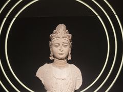 -四川大学博物馆