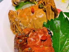 -蟹榭·本帮江浙菜·蟹宴(五角场合生汇商场店)