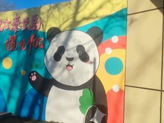 -秦皇岛野生动物园