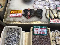 -御唐府海珊瑚主题餐厅