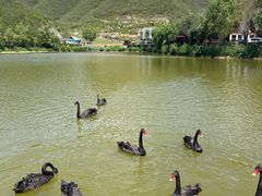 -静之湖度假区