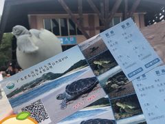 -广东惠东海龟国家级自然保护区