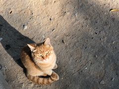 -野鸭湖国家湿地公园