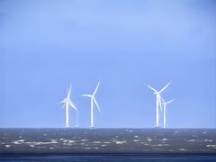 -南汇嘴观海公园