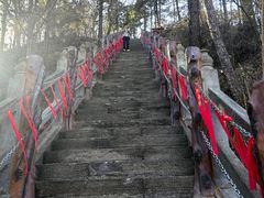 -塔云山