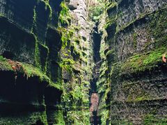 -梭布垭石林景区