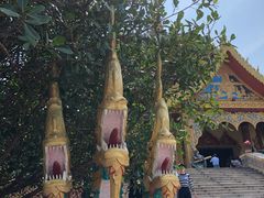 -西双版纳勐泐文化旅游区