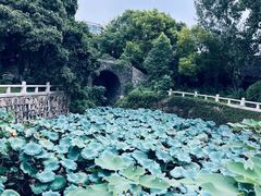 -水绘园