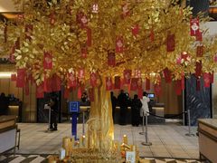 -上海虹桥祥源希尔顿酒店