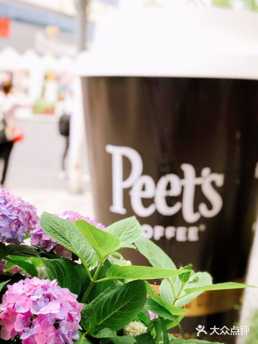 Peet's Coffee皮爷咖啡(大学路店)图片