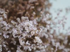 -厦门良筑精品酒店(厦门中山路店)