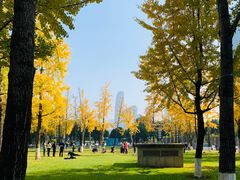 -重庆市江北嘴中央商务区中央公园