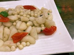 马蹄鸡头米-协和菜馆(凤凰街店)