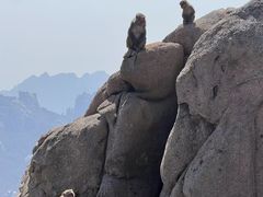 -崂山巨峰游览区
