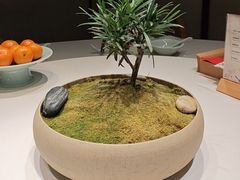 -淮扬府·游园京梦(中粮广场店)