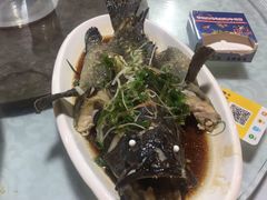 清蒸老虎石斑鱼-范饭椰林川湘味海鲜·椰子鸡(三亚湾椰梦长廊店)