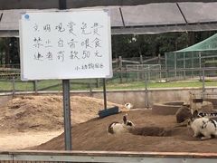 -前小桔亲子创意农场·草莓采摘·露营烧烤