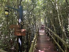 -三亚亚龙湾人间天堂鸟巢度假村