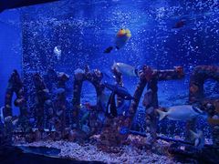 -太平洋海底世界