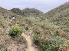 -广东天露山旅游度假区