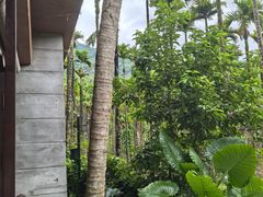 -七仙岭君澜度假酒店