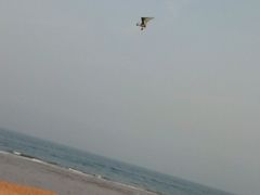 -日照世帆赛基地