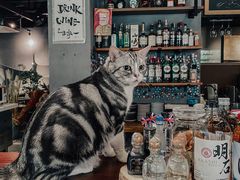 -咖法森林·咖啡  酒吧(天河店)