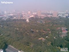 在23楼看植物园-山东大厦