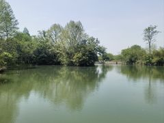 -西溪国家湿地公园